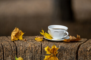 A white cup of coffee placed on a rustic wooden surface surrounded by dry autumn leaves outdoors