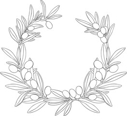 Drawing olives fruits branch wreath black vector. Hand drawn floral illustration olive fruit tree branches, leaves isolated background. Edible foliage. Drawings food. Menu, wrapping card gift decor