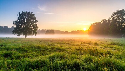 Obraz premium Soft morning fog