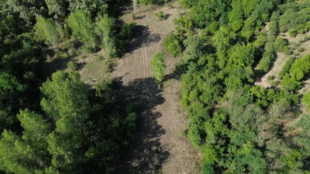 Aerial view of Jerma Canyon in Serbia with a small village surrounded by rocky cliffs and green forest. Horizontal 4k footage