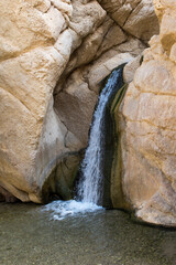 Source of water and pond at Chebika, Tunisia
