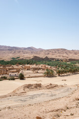  Old Tamerza ruins and palm grove, in Tunisia