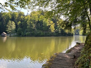 The educational pathway around the Lake Trakoscan 'Faerie Path' (Croatia) - Poučna staza Put Vila ili staze za šetnju i rekreaciju oko Trakošćanskog jezera (Hrvatsko Zagorje, Hrvatska)