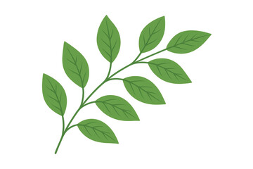 Green plant branch with fresh leaves on transparent background representing nature and organic growth