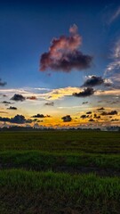 Obraz premium View of rice fields with sunset