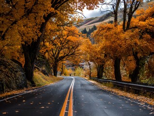 Obraz premium Golden autumn leaves line a scenic road