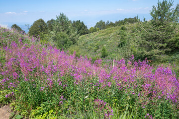 Belasitsa Mountain around Kongur peak, Bulgaria