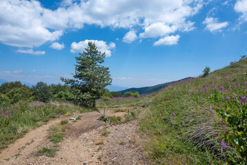 Belasitsa Mountain around Kongur peak, Bulgaria