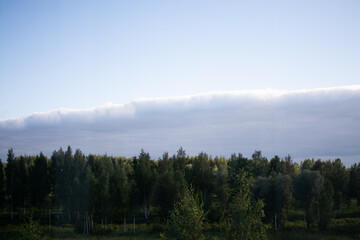 Summer landscape in Estonia with a green forest and unusual dense clouds in the blue sky