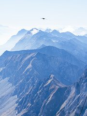 Bird Flying Over the Aravis Mountain Range from Pointe Percee, French Alps
