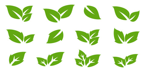 Leaf illustration in flat style, green leaves, nature theme, forest, garden and trees. plant ecosystem