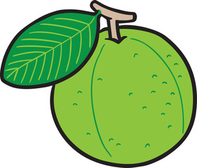 Tropical White Guava with leave icon.
