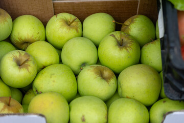 Green apples filling cardboard box for market stall