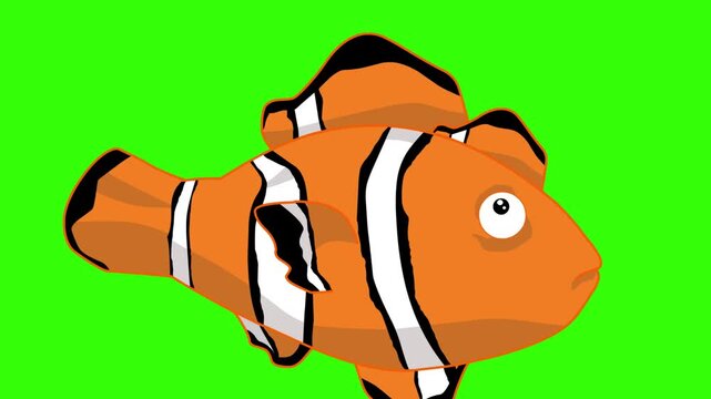 2D animation of a clownfish swimming with a green background, art, animals, sea.