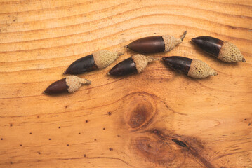 Bellotas sobre tabla veteada de madera en tonos marrones