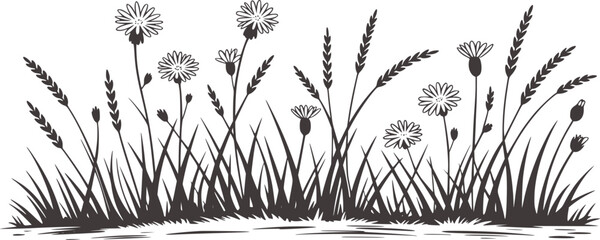 Black and white illustration of wild grasses and flowers nature