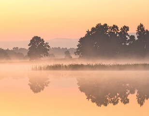 Fototapeta premium Dreamy Mist Dawn Series ,Golden Morning Fog over Calm Reflective Water