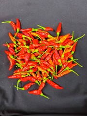 red hot chili peppers