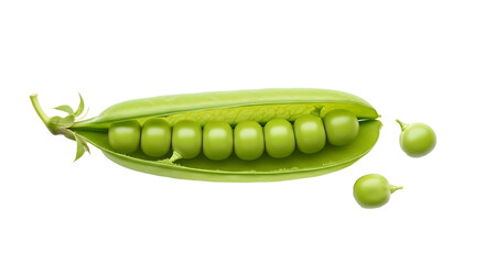 Fresh green pea pod with peas spilling out on transparent background