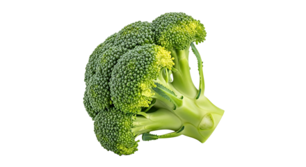 Fresh green broccoli floret displaying vibrant details, isolated on transparent background