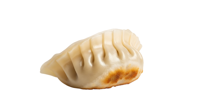 Dumpling Image isolated on a transparent background