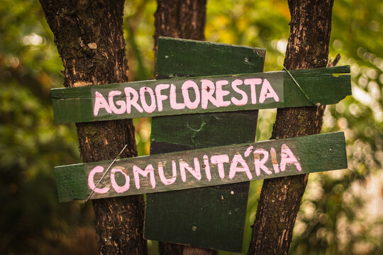 placa agrofloresta