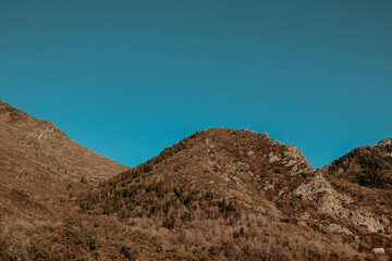 rounded fall mountain trees