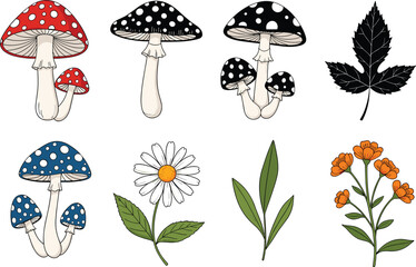 Colorful Mushrooms and Wildflowers Botanical Illustration Set