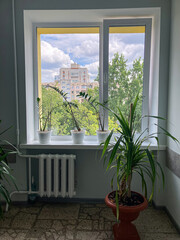 Interior of a Ukrainian hospital clinic room with two windows revealing a distant urban landscape and sky Three potted plants near the windows, simple window frames, soft lighting, no texts or brand