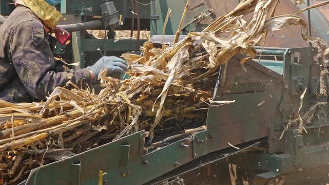 Workers using a machine to crush straw