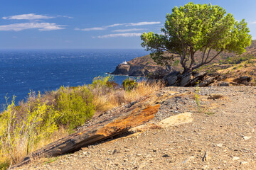 Coastal view with Cala Nans lighthouse in Cadaques Spain