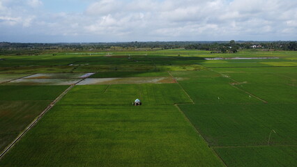 Aerial view of a green agricultural area