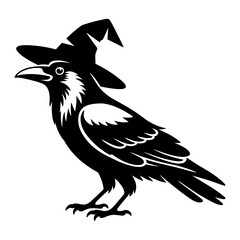 Raven in Witch Hat