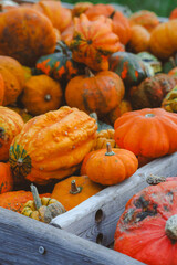 A close-up shot of vibrant, various pumpkins in a wooden crate, showcasing different shapes, sizes, and textures, perfect for autumn, Halloween, or seasonal decorations.