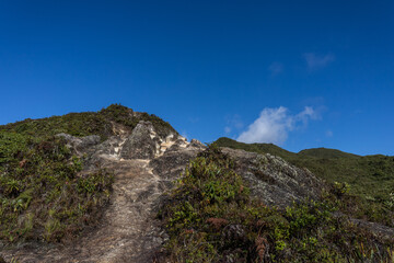 Exploring Caracas, Venezuela. Semi-paramo vegetation and landscape in Waraira Repano National Park. Hiking in the Avila Mountains