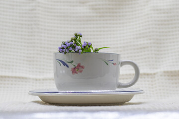 Tea cup of flowers 