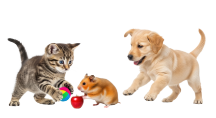 Playful kitten, hamster, and puppy playing together with colorful balls, cute pets interaction, perfect for pet care and animal friendship themes