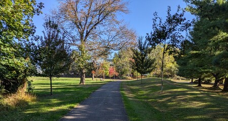 path in the park