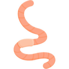A Simple Illustration of a Pinkish Worm With Segmented Body and a Light Brown Clitellum Against a Transparent Background