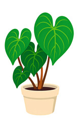 Heartleaf Philodendron (Philodendron hederaceum) with Green Foliage in Beige Pot &ndash; Indoor Plant Illustration