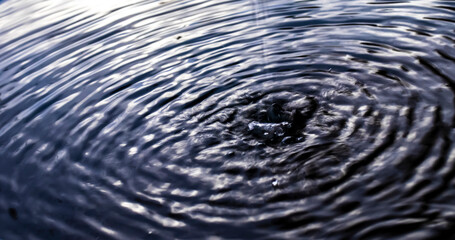A droplet disturbs a calm dark pool, forming concentric ripples that illustrate wave propagation,...