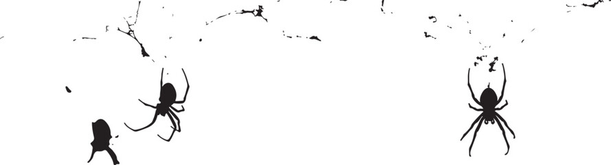 Black Silhouette Spiders Hanging from Abstract Web on White Background