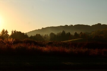 sunrise over the meadow 