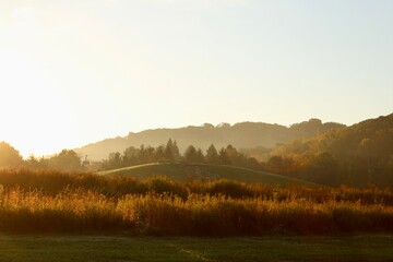 morning at the Meadow of North Park 