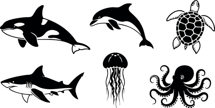 Marine animals vector collection with dolphin, orca, shark, turtle, jellyfish, and octopus silhouettes for design and education purposes