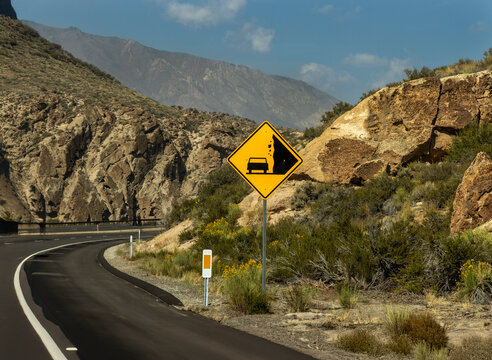 A  yellow road sign warning of possible rocks falling on a car. The road is curving through a canyon