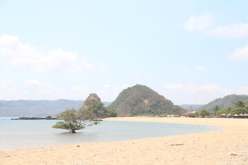 tropical beach with blue sky