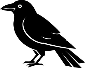 Minimalist Black Crow Silhouette Design Side View Ornithology Illustration