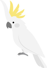 Simple Flat Style Sulphur Crested Cockatoo Isolated on White Background Illustration © Namu Icons