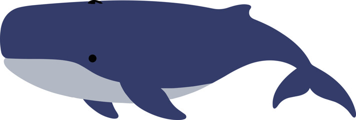 Simple Flat Illustration of Sperm Whale Marine Mammal Icon Graphic